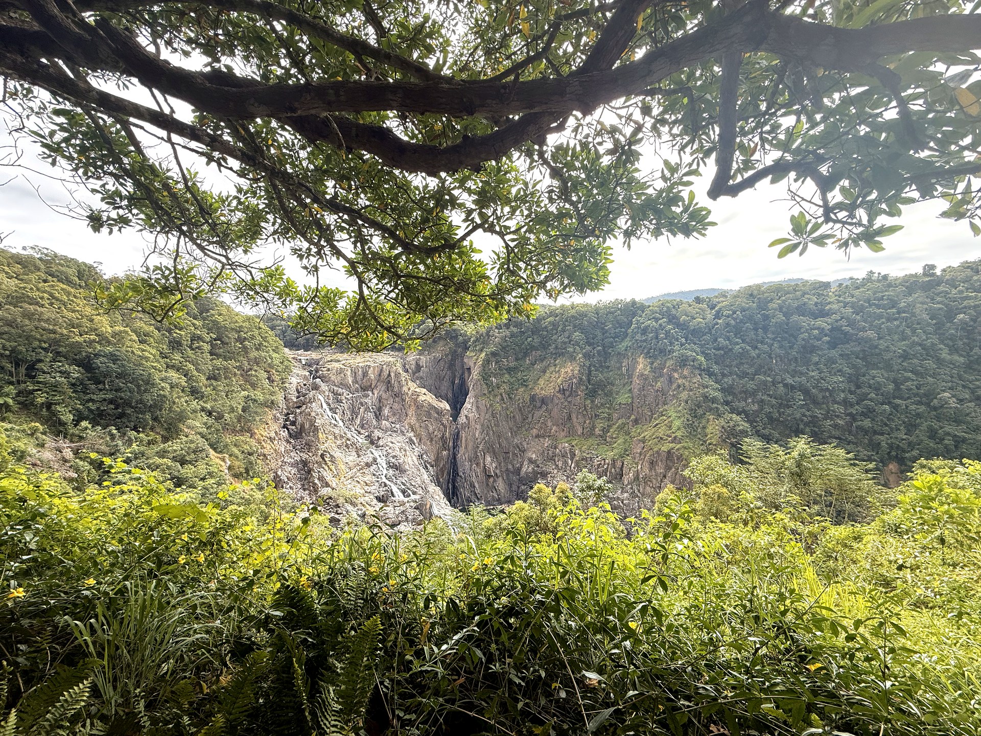 A narrow waterfall crossing exposed rock in the rainforest at Barron Gorge